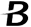 Boss Media